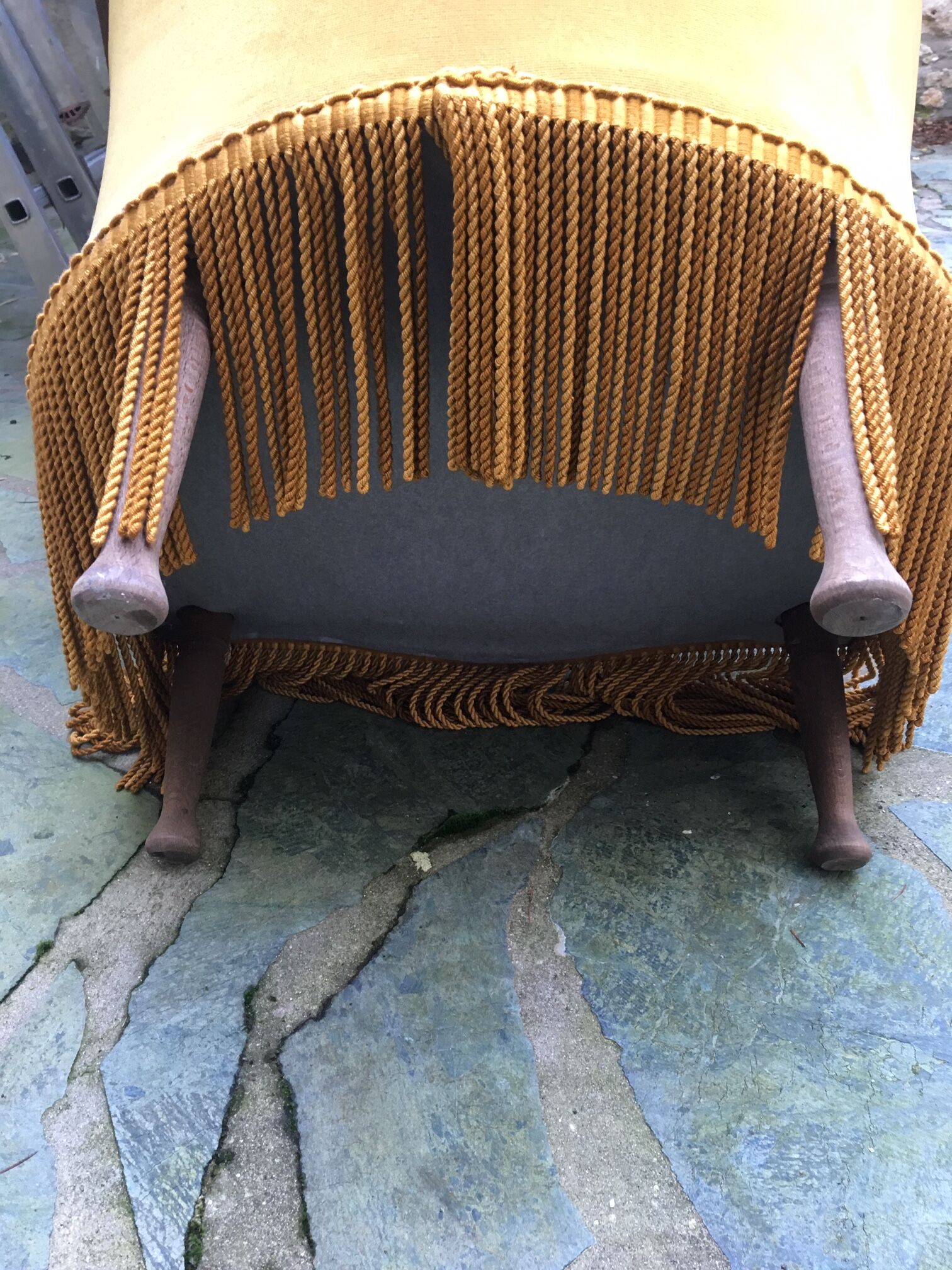 Velvet toad armchair