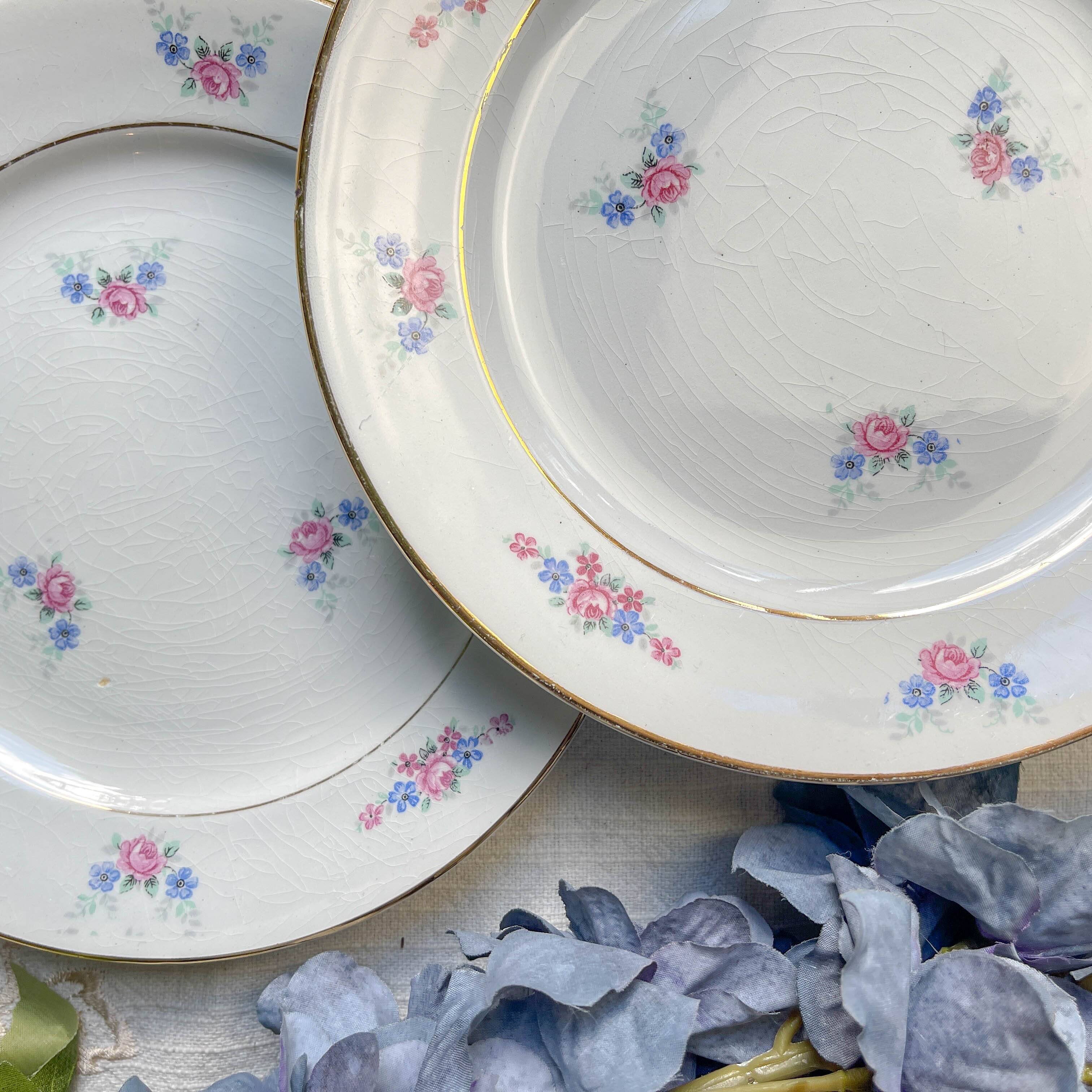 6 small vintage floral porcelain plates - Salins