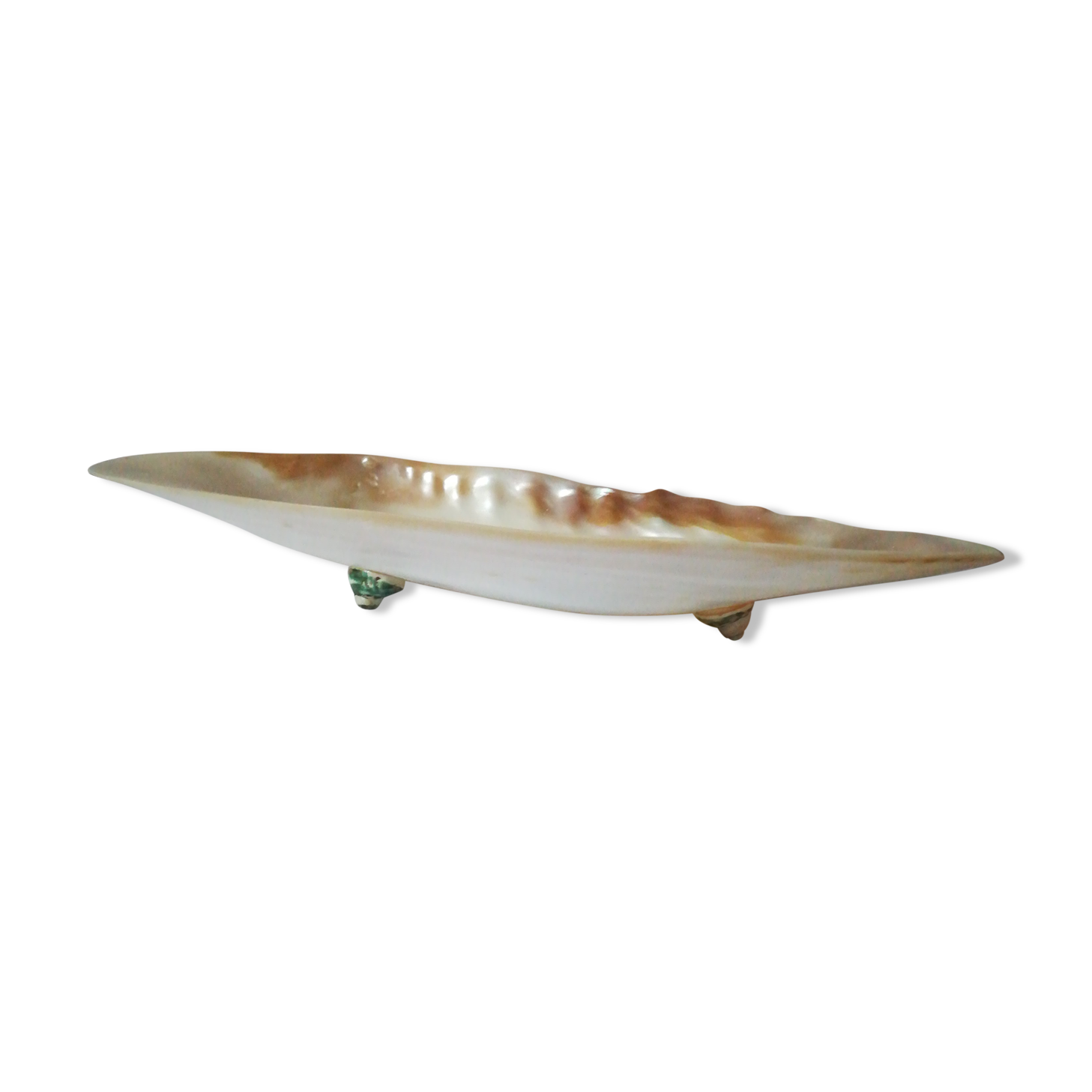Cupelle mother-of-pearl