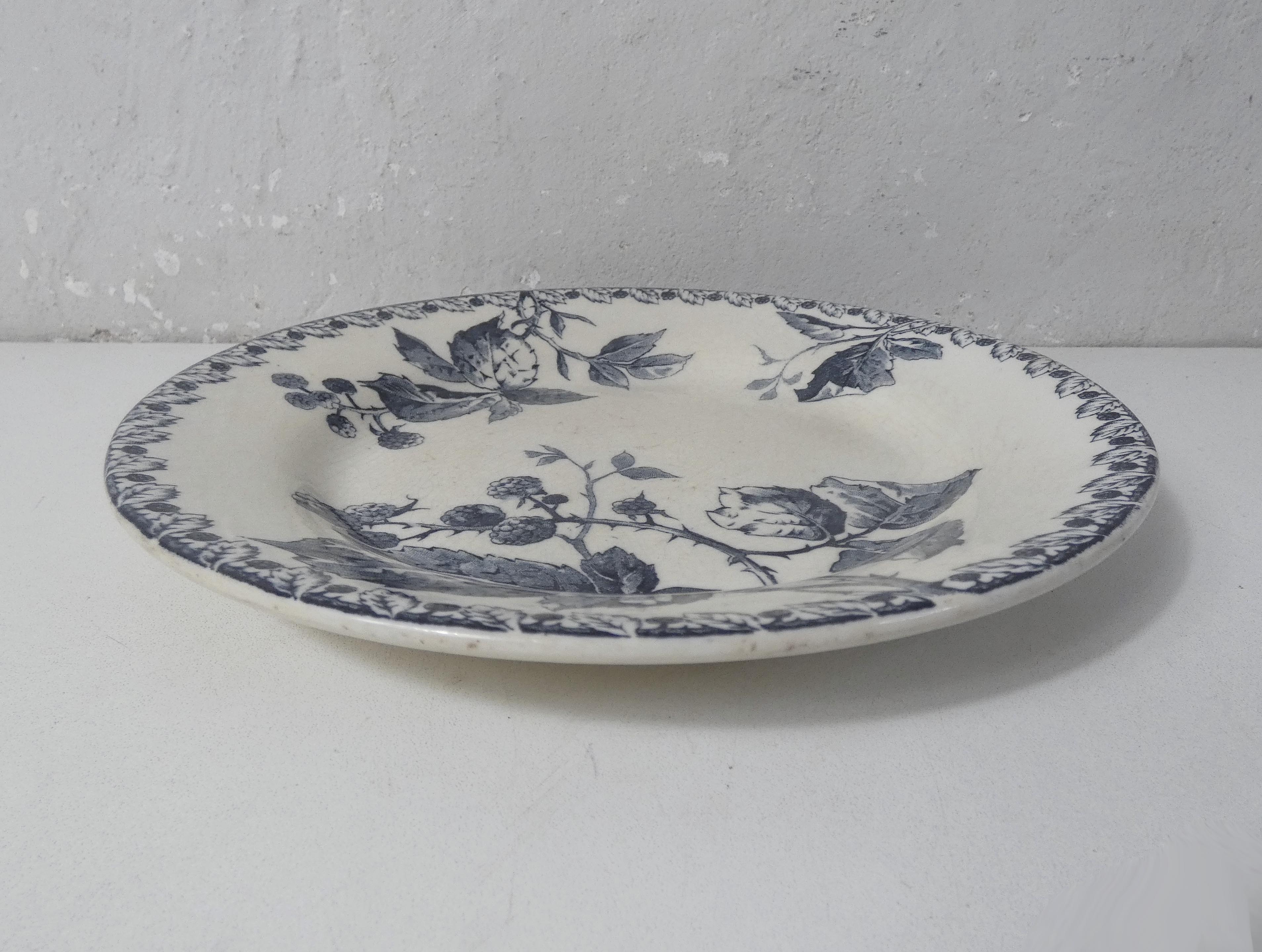 Flat plate earth of iron mures