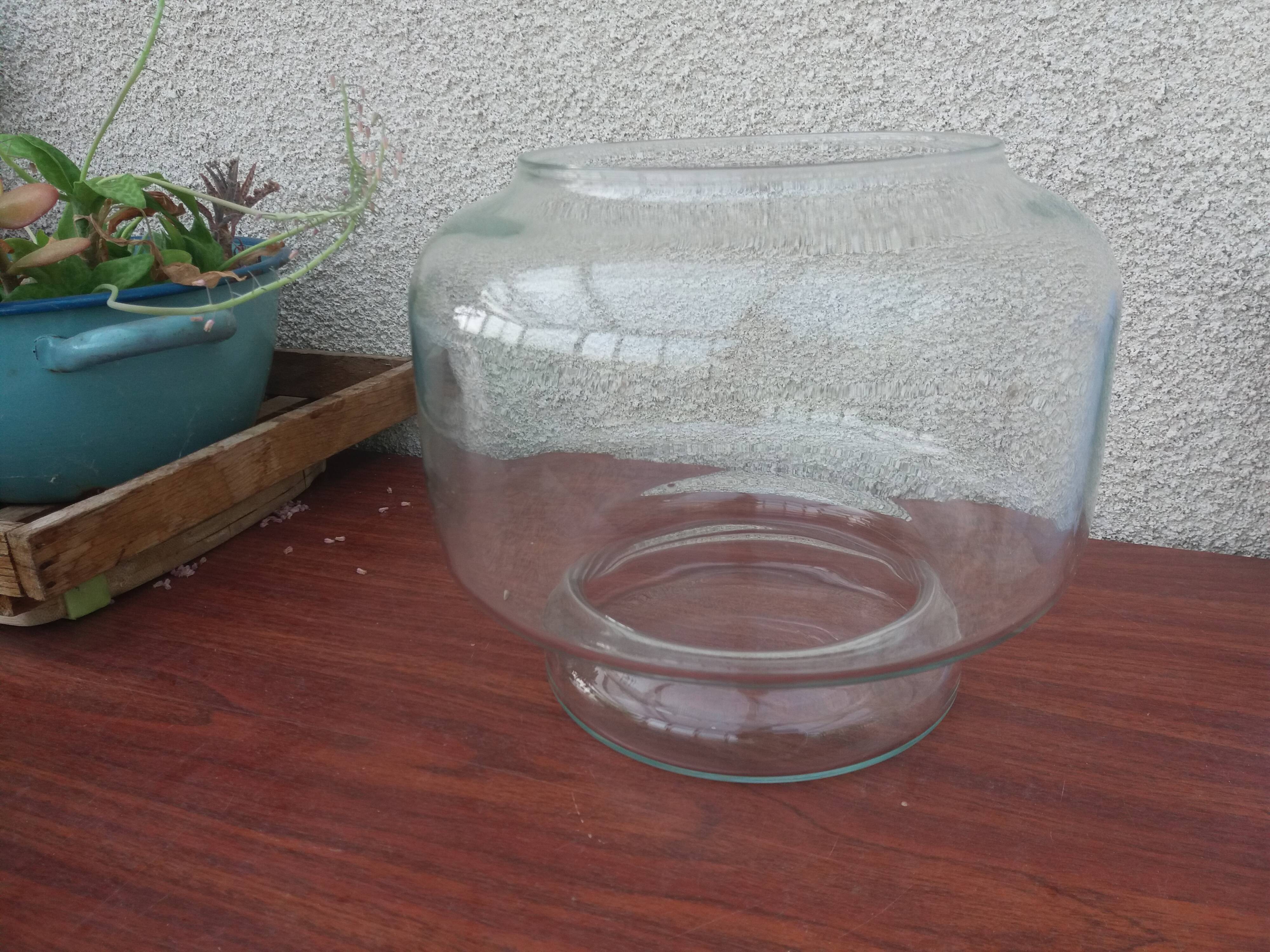 Glass indoor garden terrarium vase