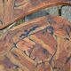 Modular coffee table in vine shoot marquetry.