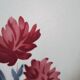 Mismatched antique earthenware dinner plates
