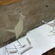 Engraved mirror tray art deco