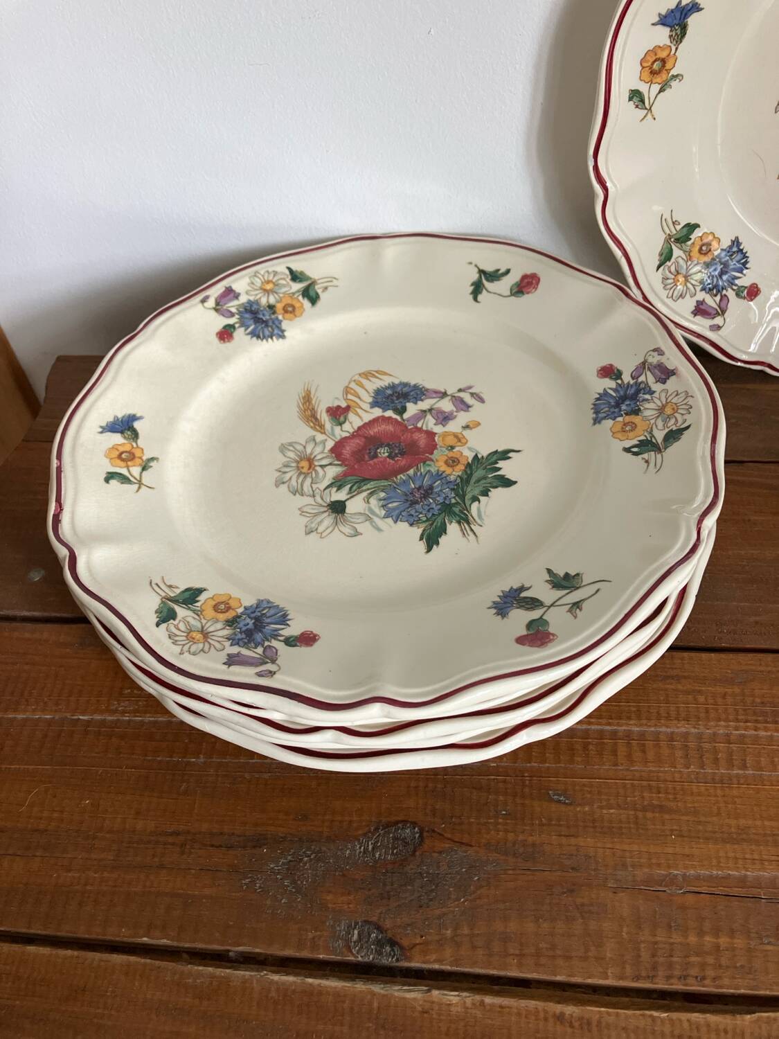 6 Sarreguemines dinner plates