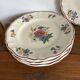 6 Sarreguemines dinner plates