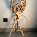 Door rattan plant 60s