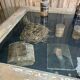 Antique display cabinet, central exhibition counter with