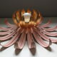 Flower wall lamps
