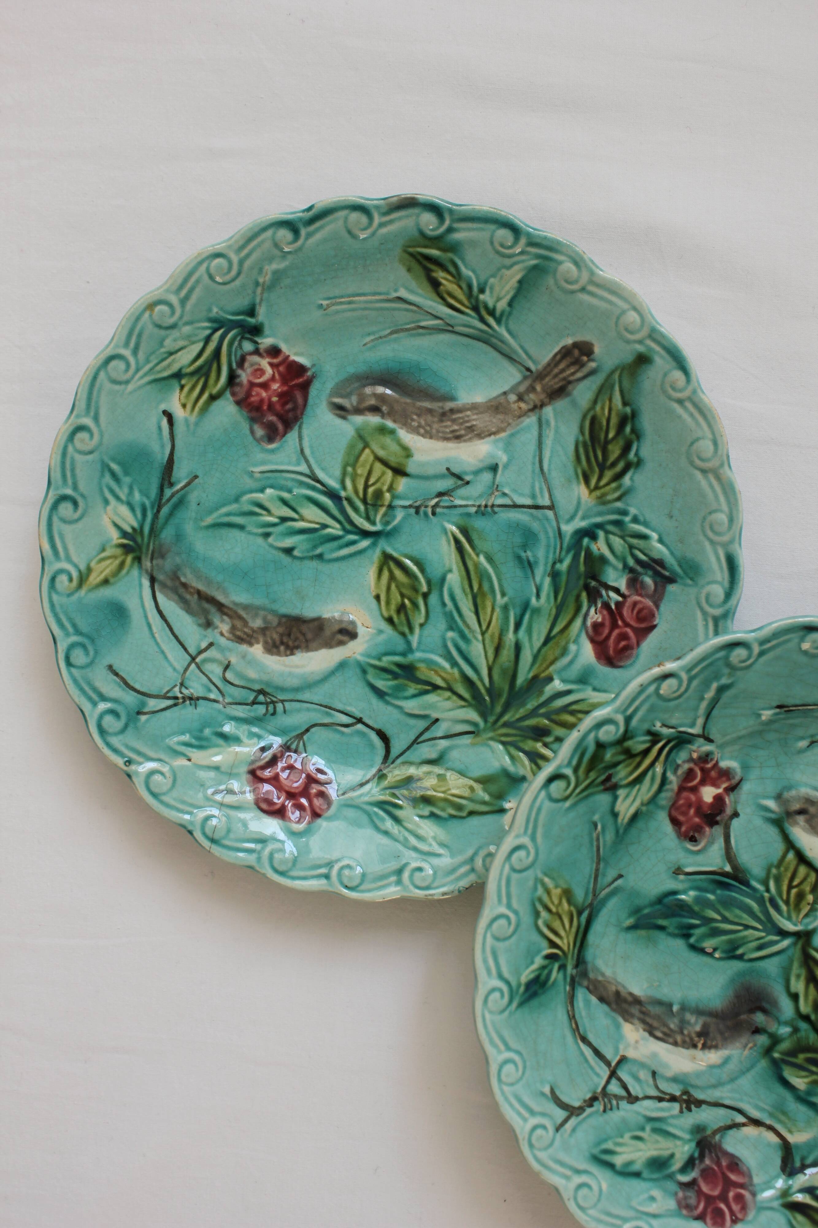 2 old plates in slurry birds Onnaing early twentieth