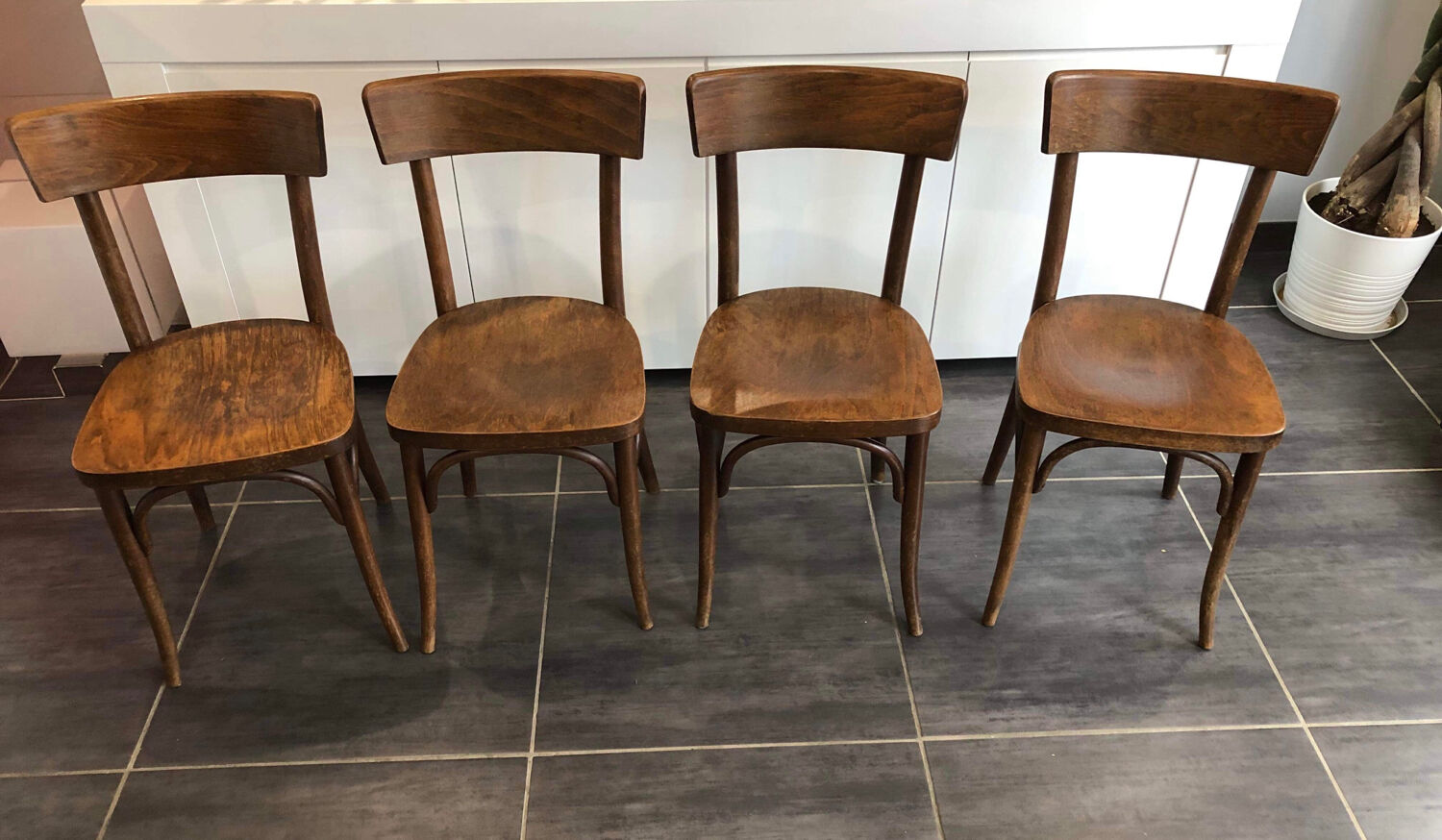 Suite de 4 chaises de bistrot Thonet, années 1960