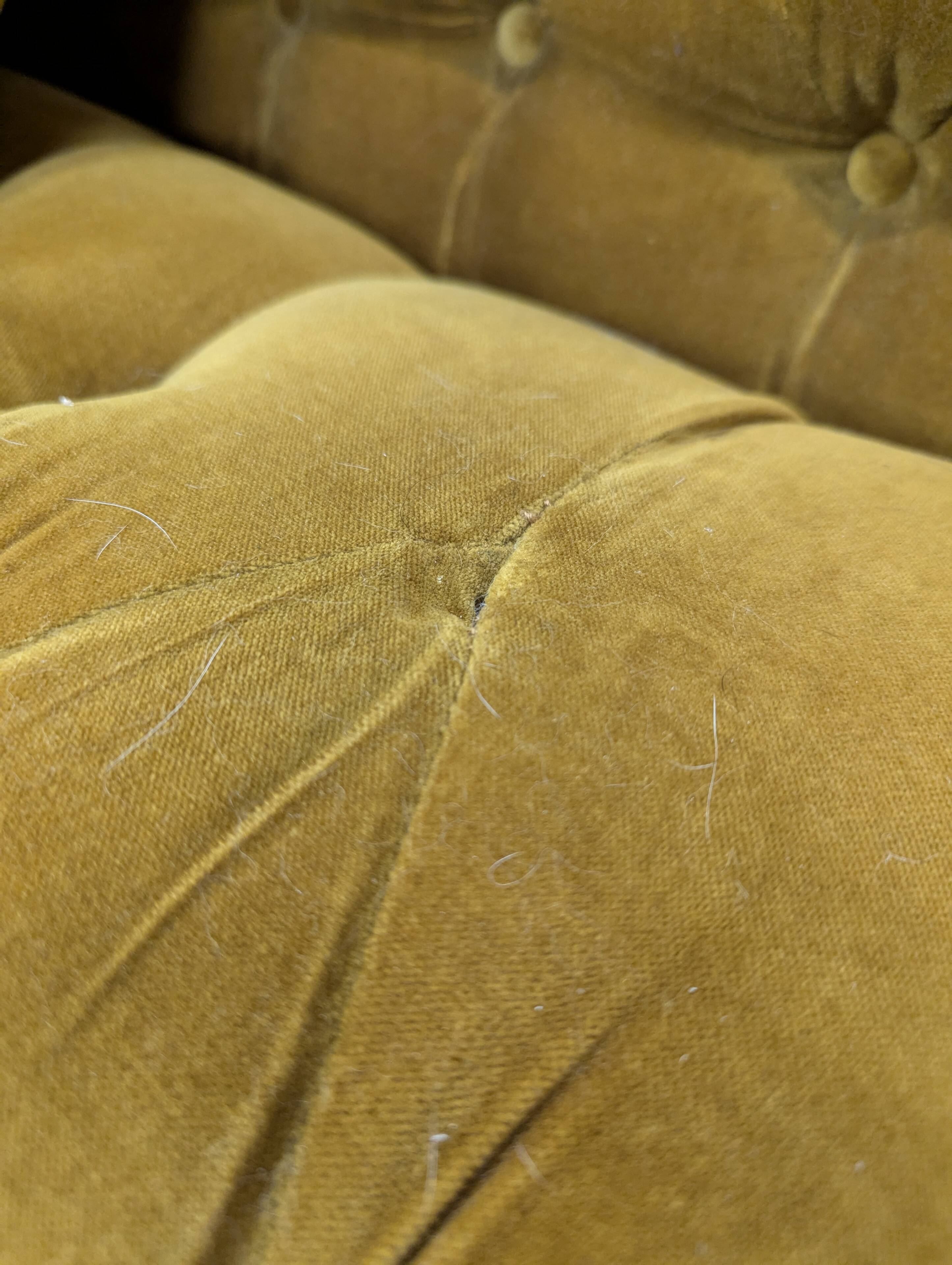 Saffron-colored velvet sofa