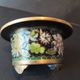 Vintage Chinese bowl in cloisonné enamel on four feet