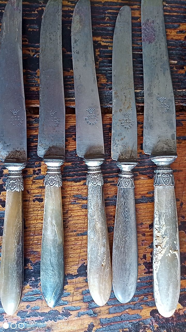 10 horn handle knives including 4 Berthier Valence - 5 logo with the crown 202