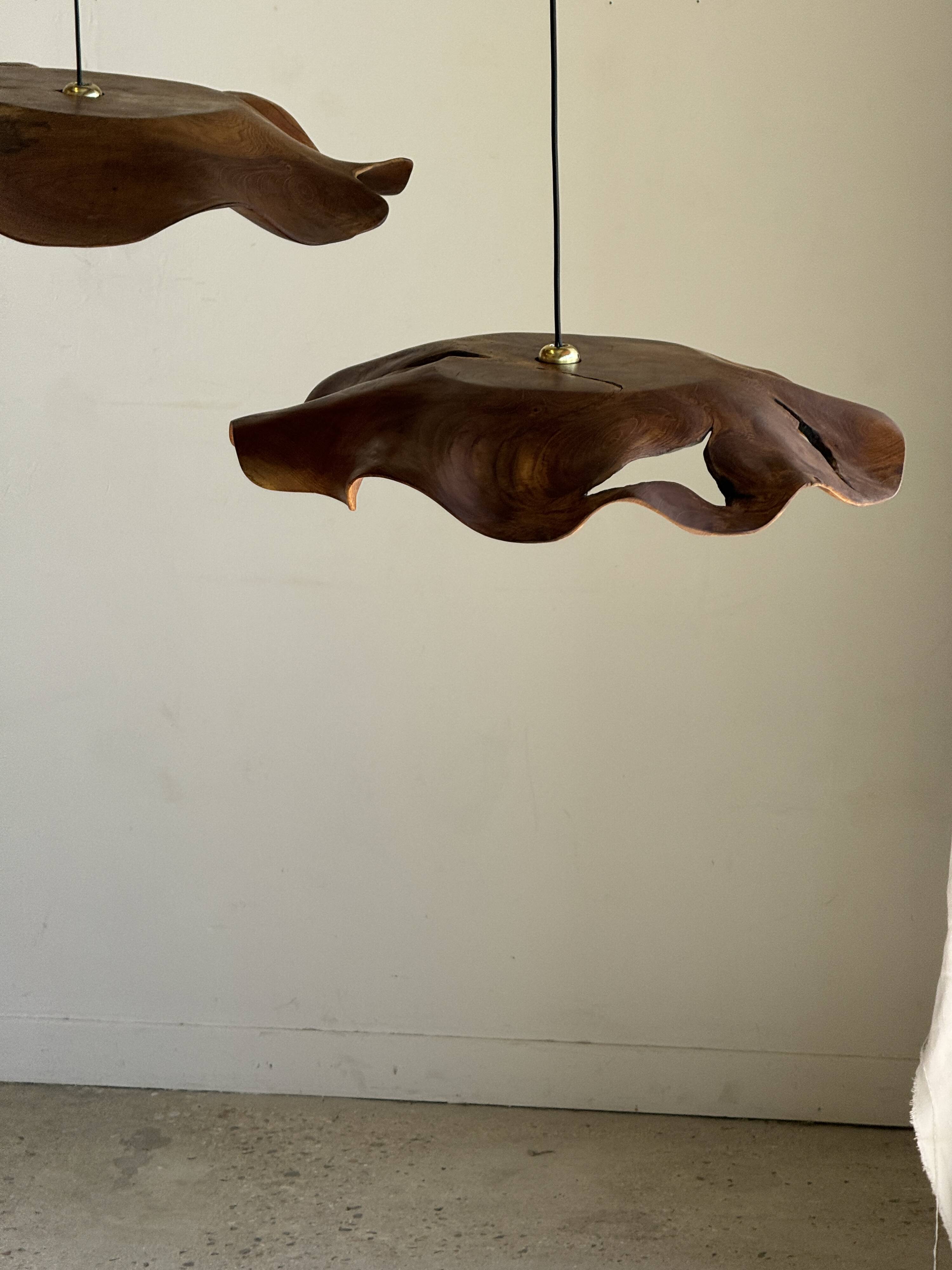 Very large wavy flat leaf suspension in smooth teak D:60