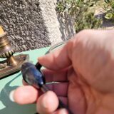 Empire hot water bottle lamp