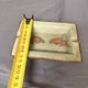 Antique Ashtray Pocket Dish Ceramic Koi Carp Celadon Qianlong Qing China