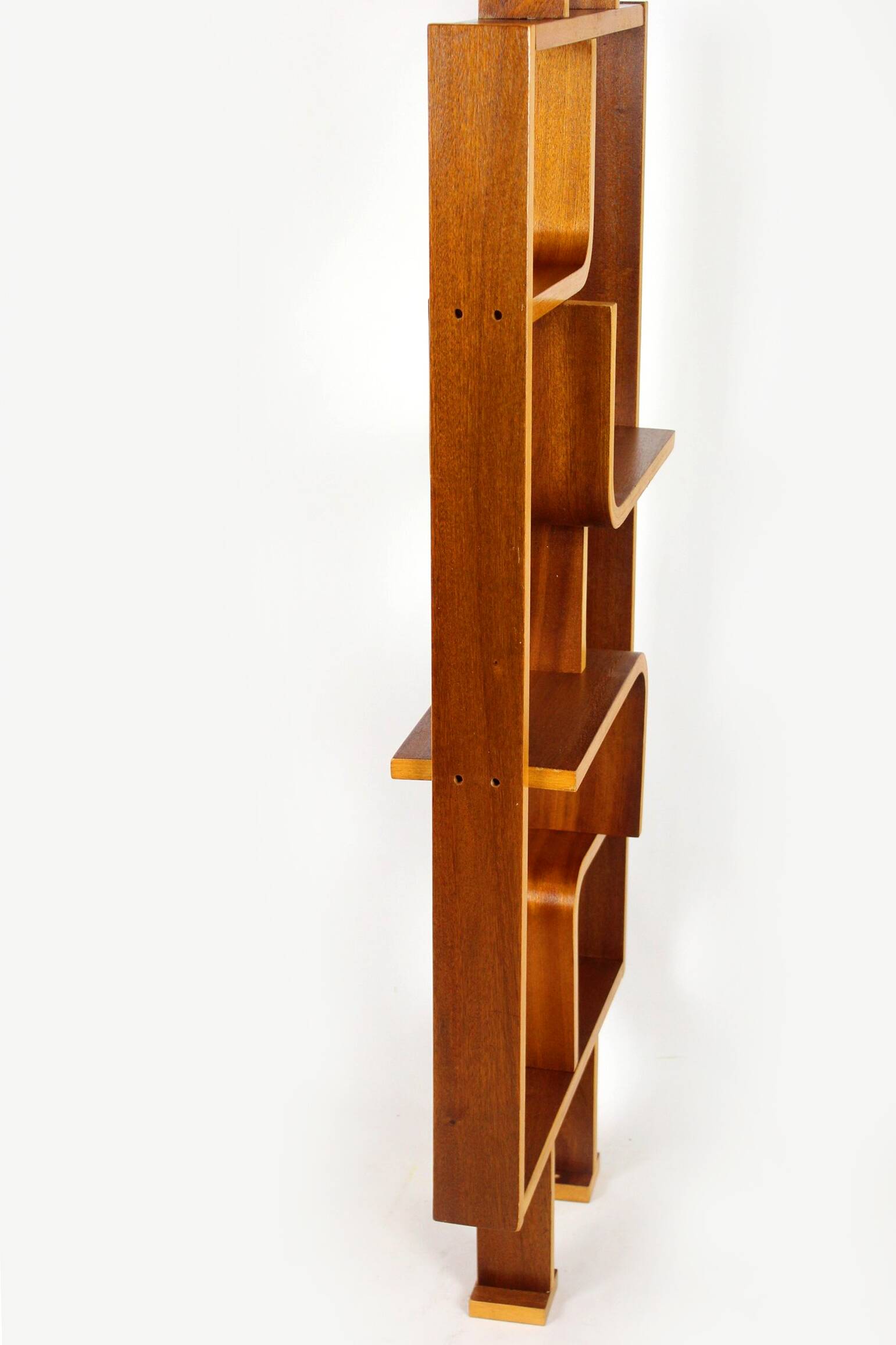 Mid-Century Room Divider by Ludvik Volak for Drevopodnik Holesov, 1960s
