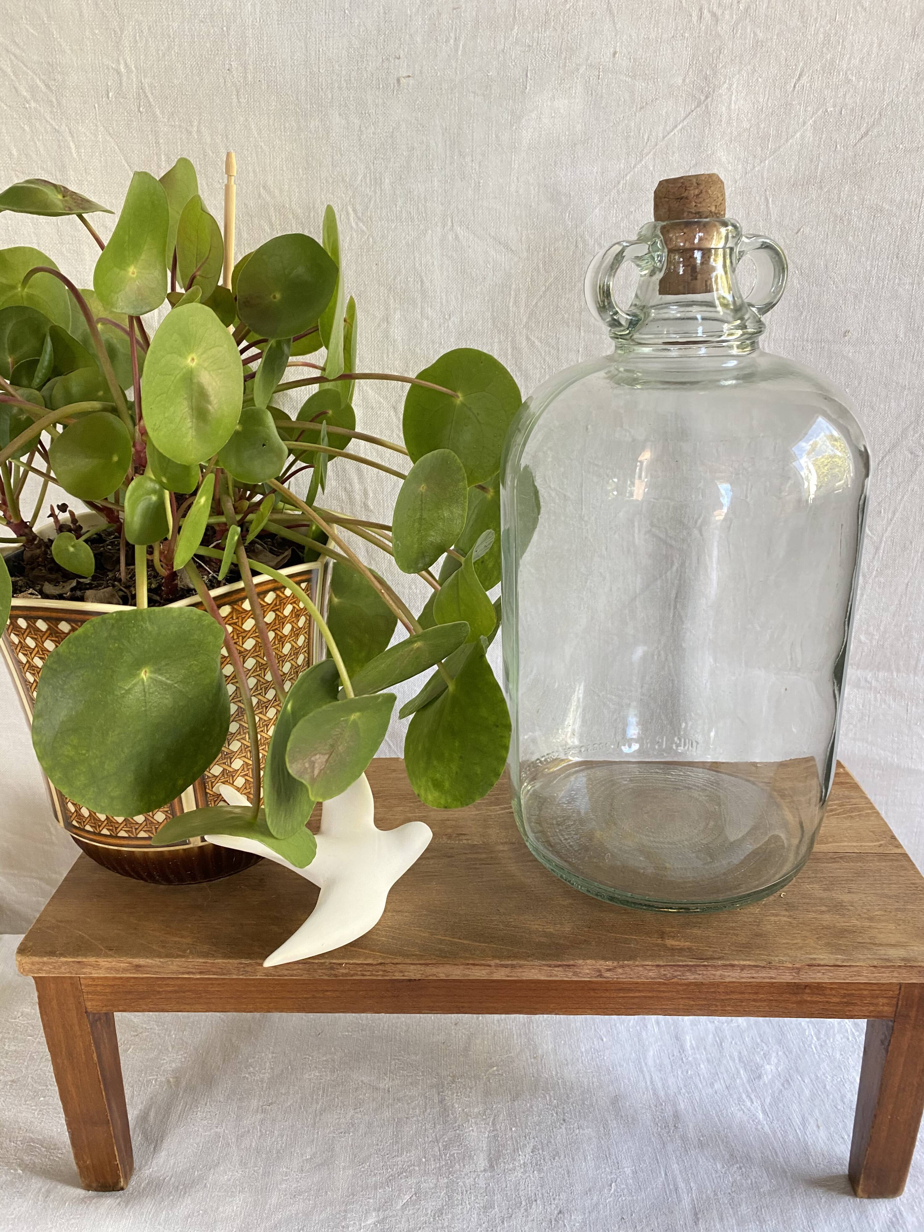 Vintage double-handled canister