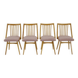 1960s Antonin Suman Set of Four Dining chairs in Beech Wood , Czechoslovakia