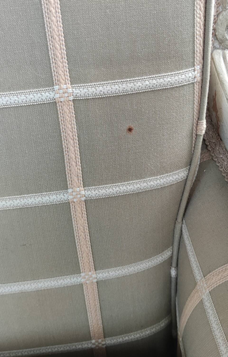 Ancienne Paire de bergères Style Louis XV