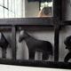 Miroir Les Marolles 1950