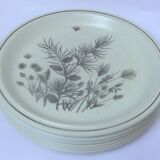 Set of 6 flat english plates