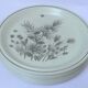 Set of 6 flat english plates