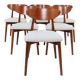 Set of 6 dining chairs, teak color wood, bouclè upholstery
