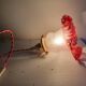 Baladeuse/ lampe/ suspension tulipe rose et doré vintage