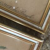 Two botanical plates.