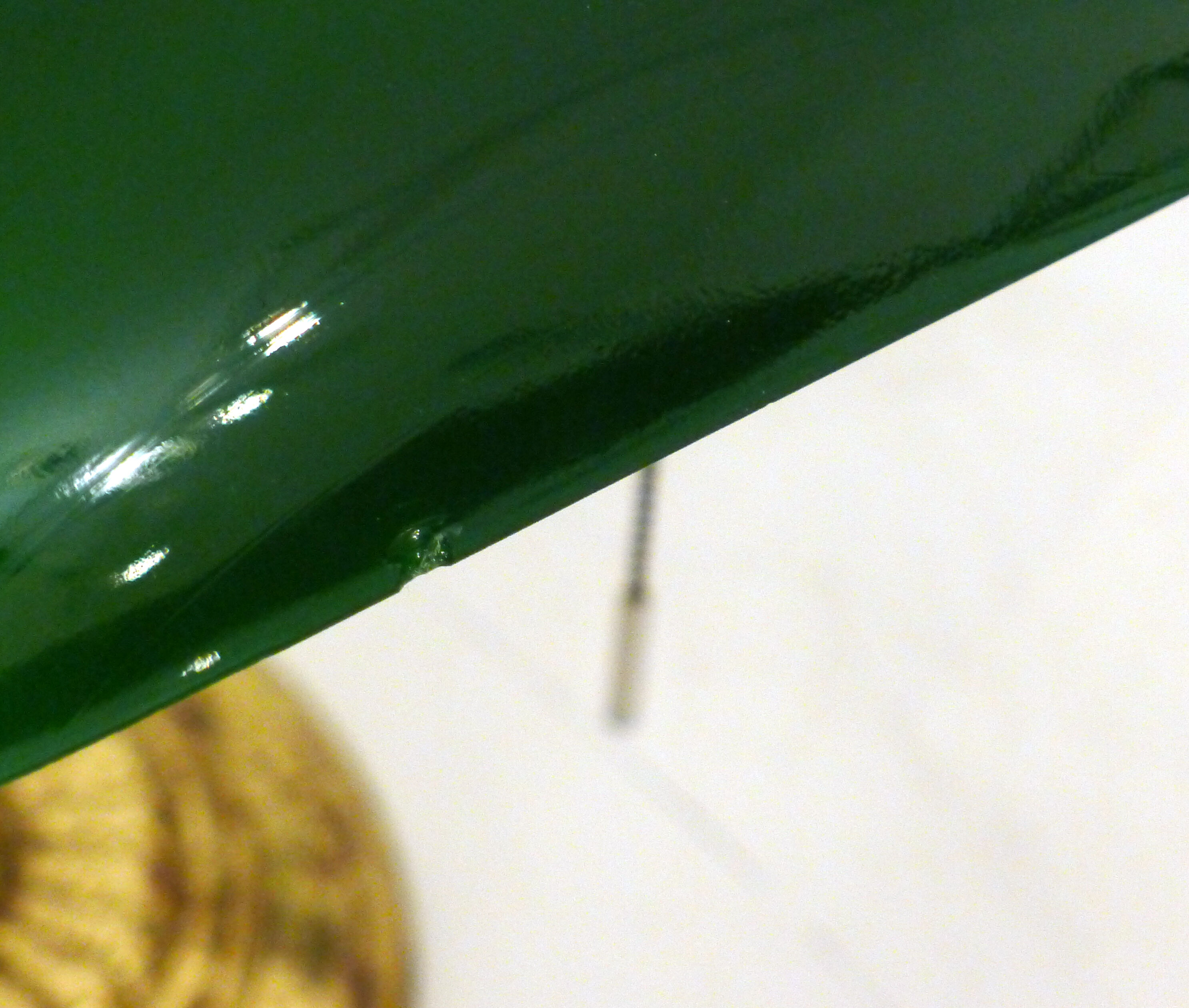 Desk lamp (library/banker) green & gold