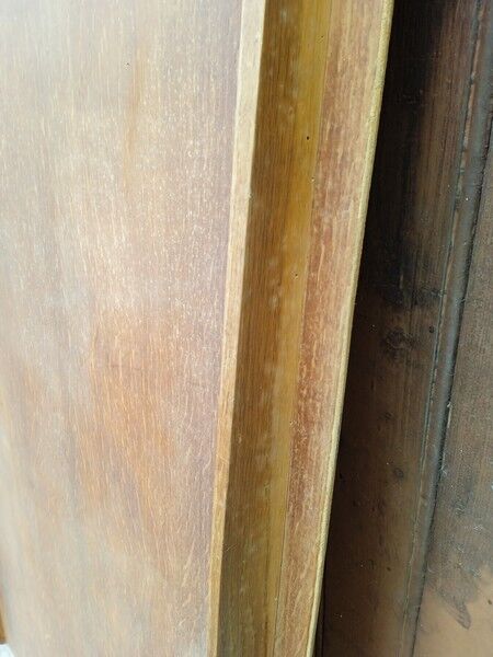 Pair of sliding doors from the 50s