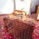 Small box suitcase in vintage rattan
