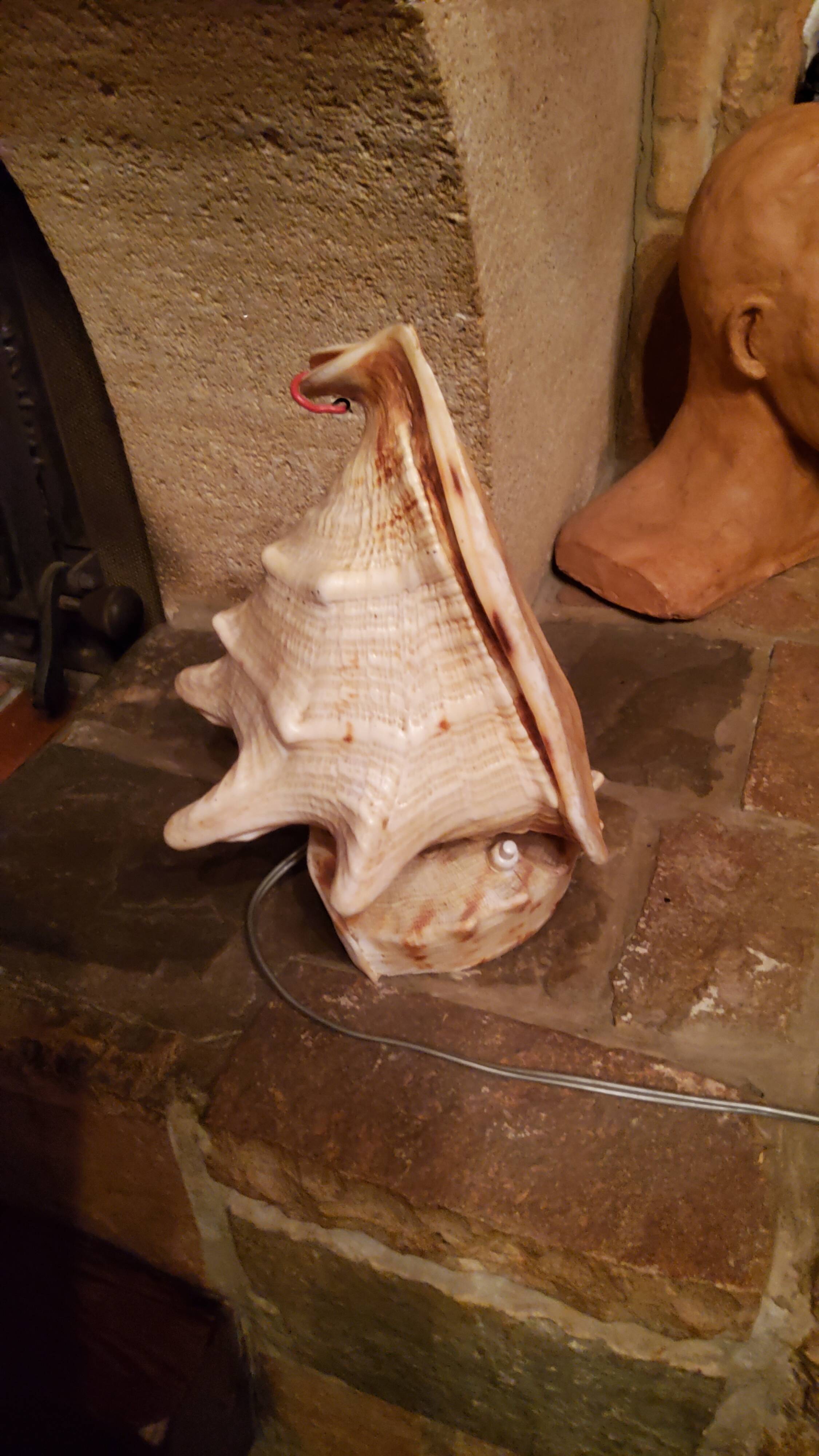 Shell lamp from the 50s