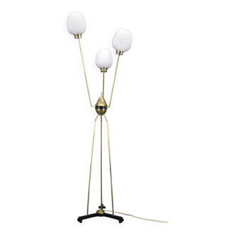 Mid-Century Floor Lamp, Italy, 1960s