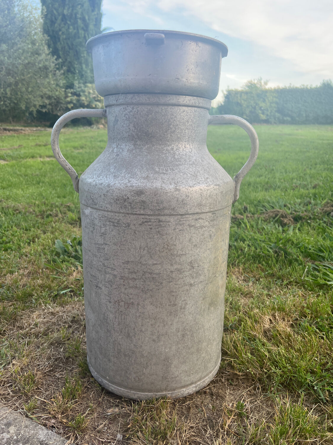 Milk pot