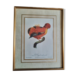 Framed botanical plank
