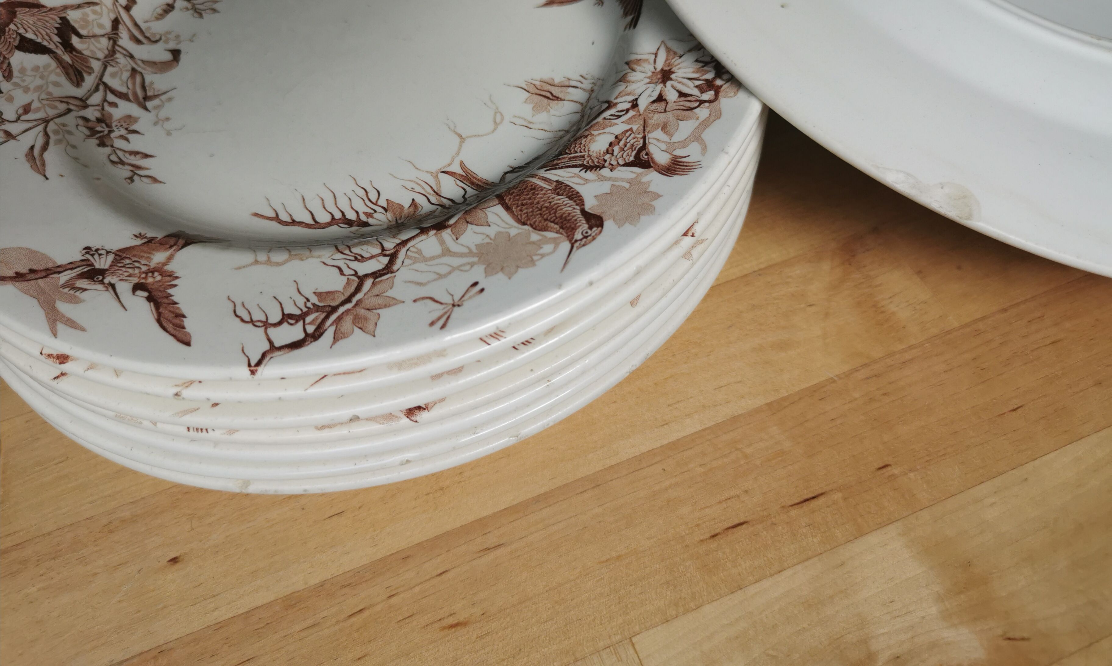 Lot of 8 Colibri luneville plates