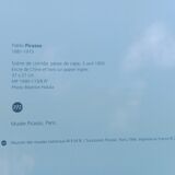 Picasso foundation