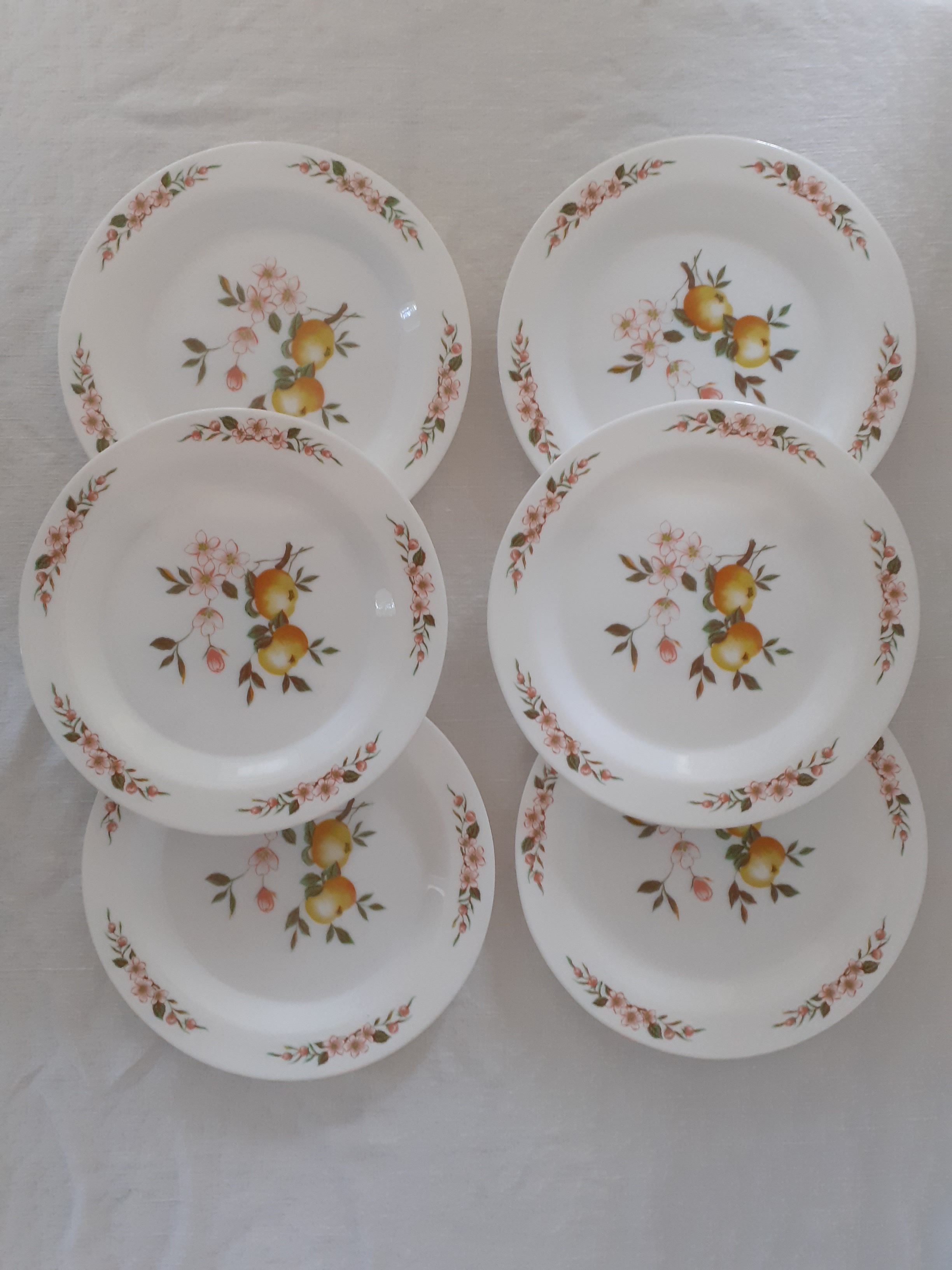 6 Flat plates Normandy apple decoration Arcopal france