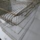 Large bird cage