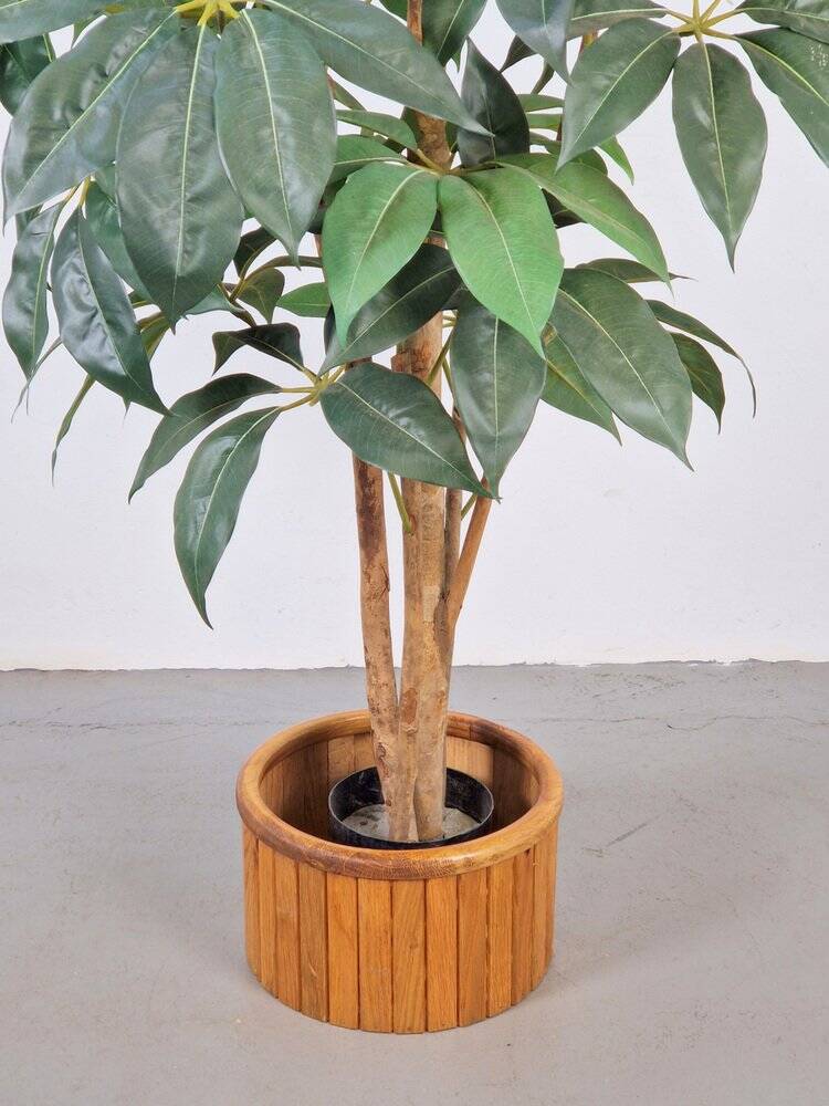 Vintage Oak Indoor Planter, Denmark, 1960s