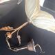 Vintage flower pendant light