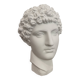 Greek head in polished white plaster