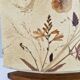 Vintage herbarium lamp 1970