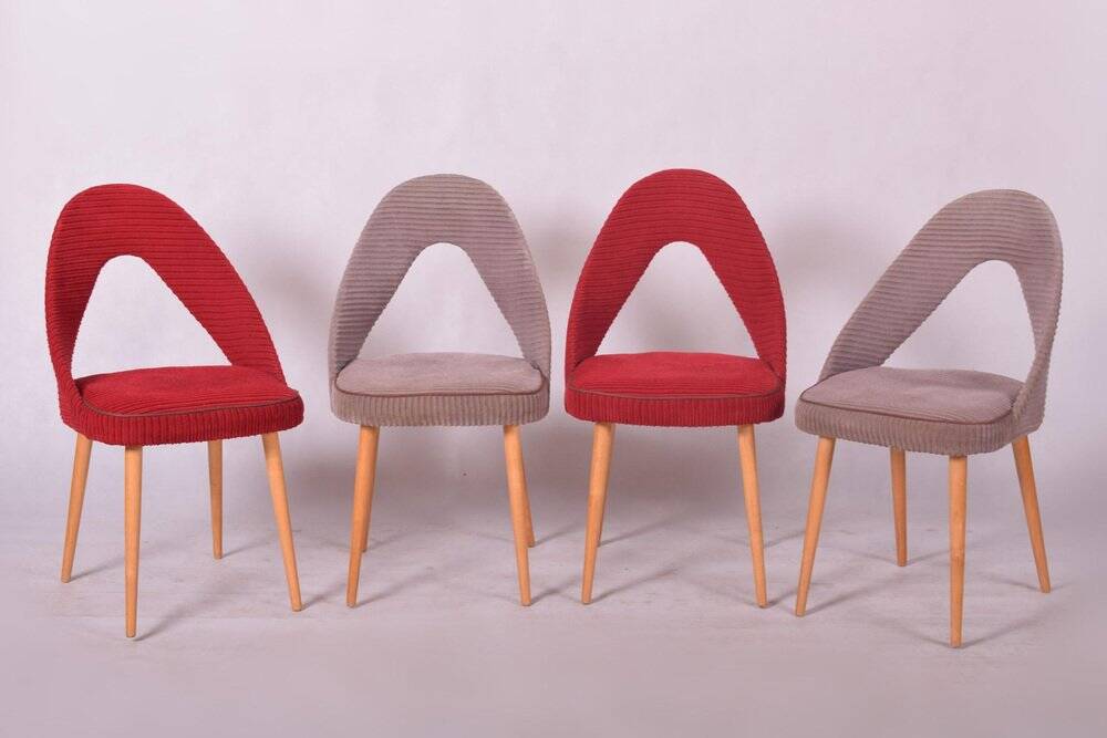 Chaises Mid-Century en hêtre, tchèque, années 1950, ensemble de 4