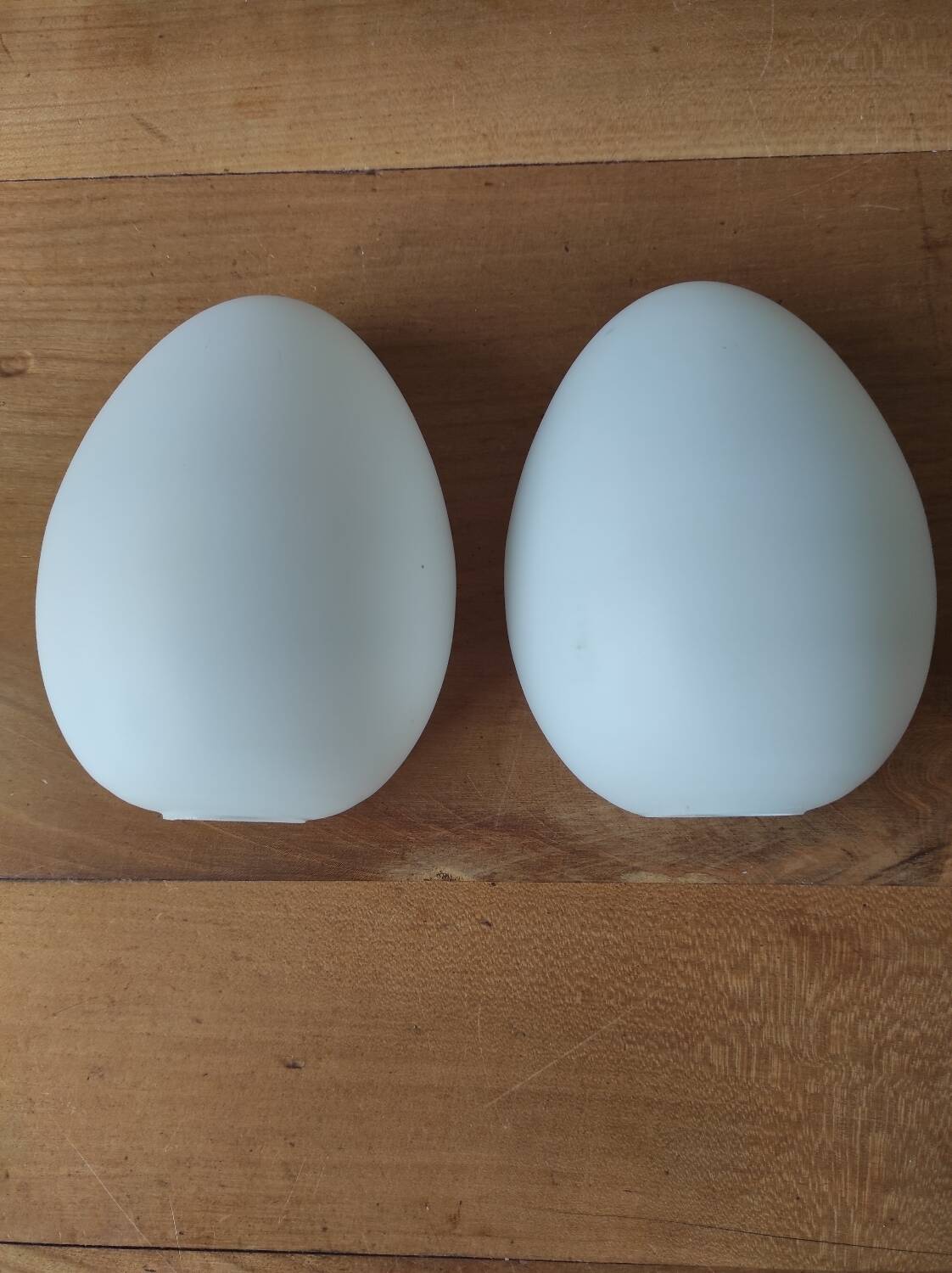 Lot de 2 demi-globes en opaline formeoeuf