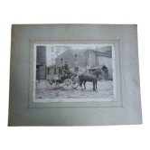 Old photograph from 1900 of a stagecoach driver and horses, State Railways.