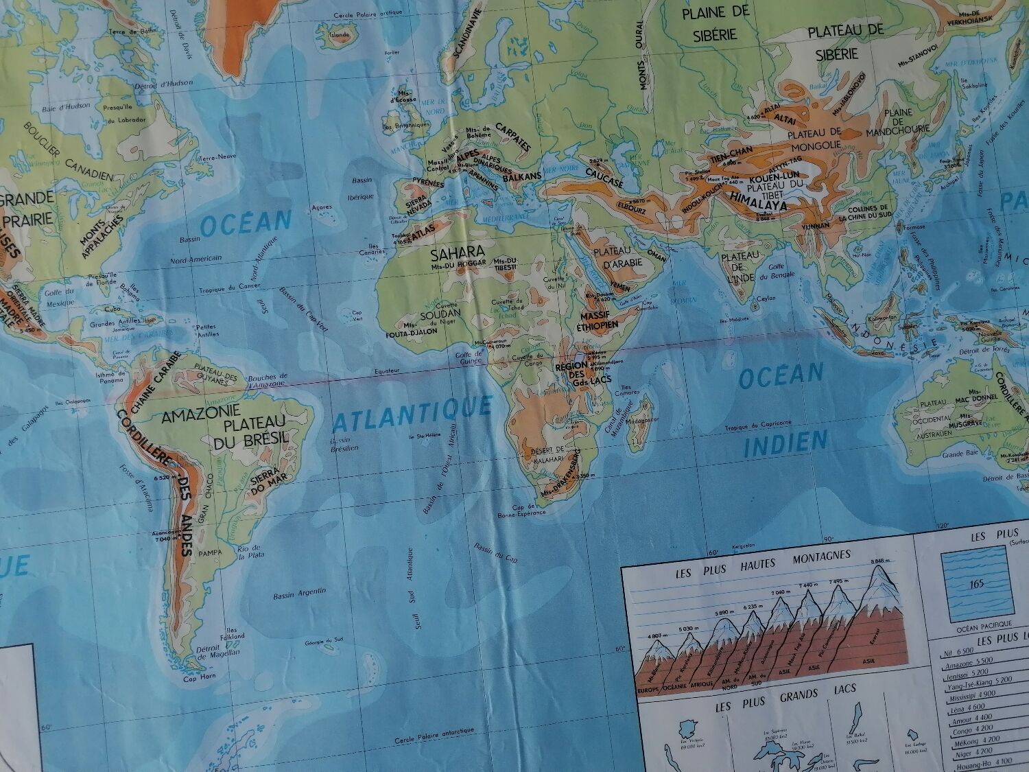 Planisphere world map vintage physics and vegetation